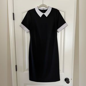 Shelby & Palmer Black Fitted Dress